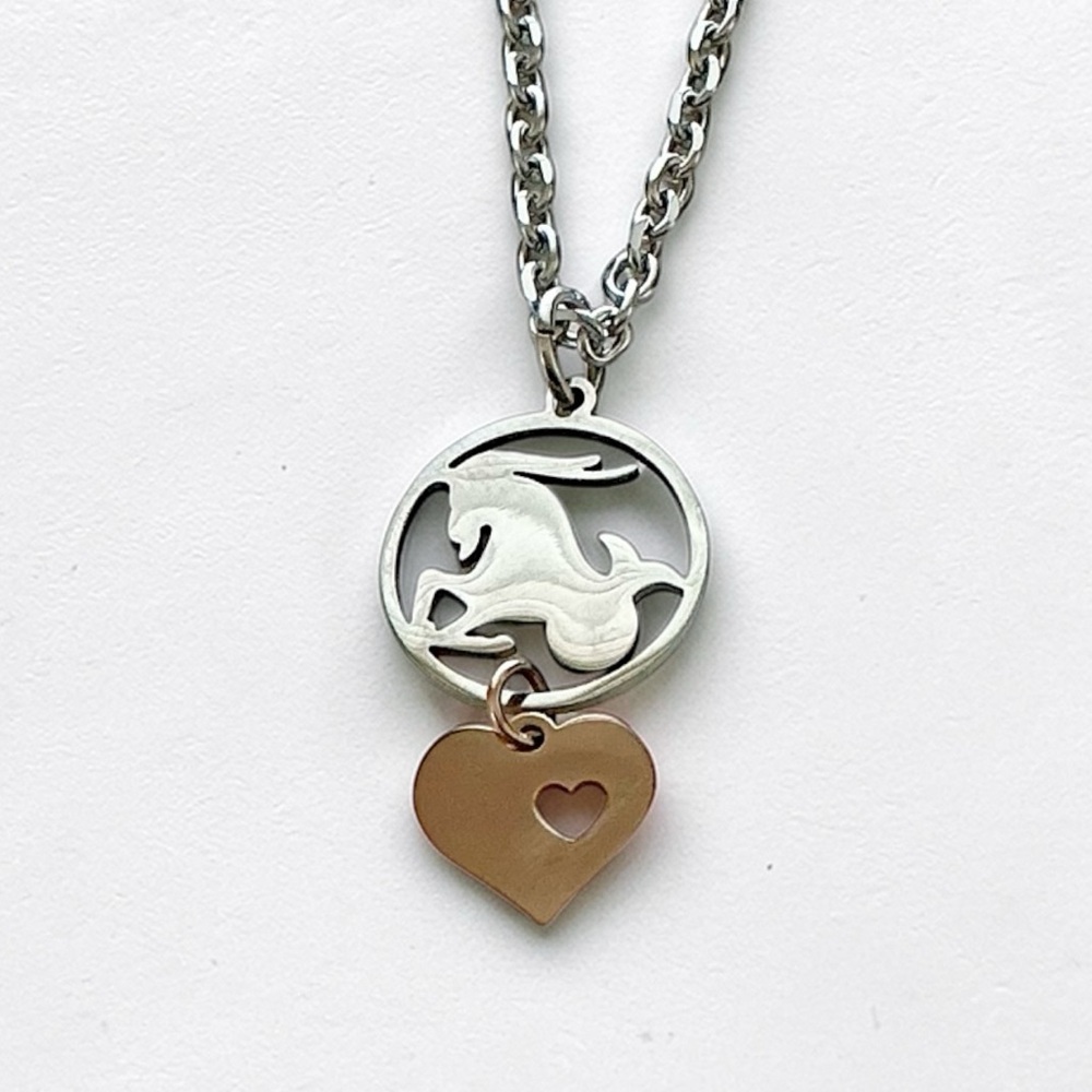 🆕 Capricorn Zodiac and Heart Pendant Necklace-Stainless Steel